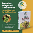 Wayanad Green Cardamom 8mm Bold (Elaichi) – Premium Whole Kerala Spice, Natural & Aromatic WayanSpices
